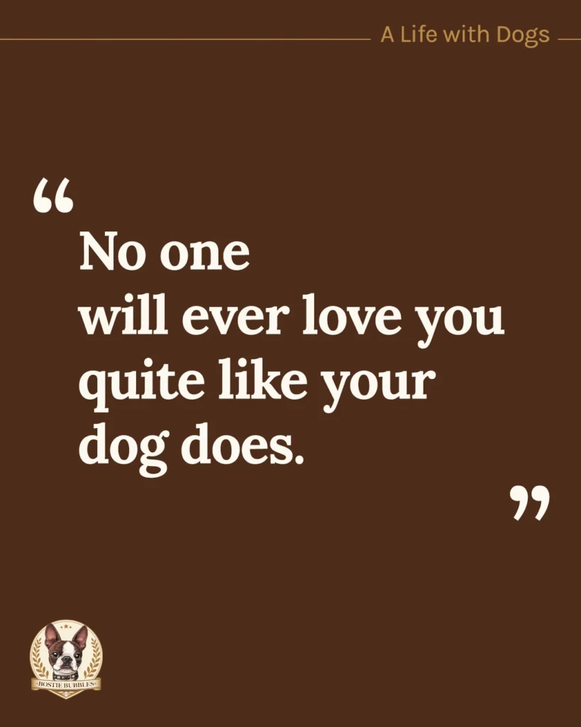 No one will ever love you quite like your dog does” — A Life with Dogs by Bostie Bubbles.