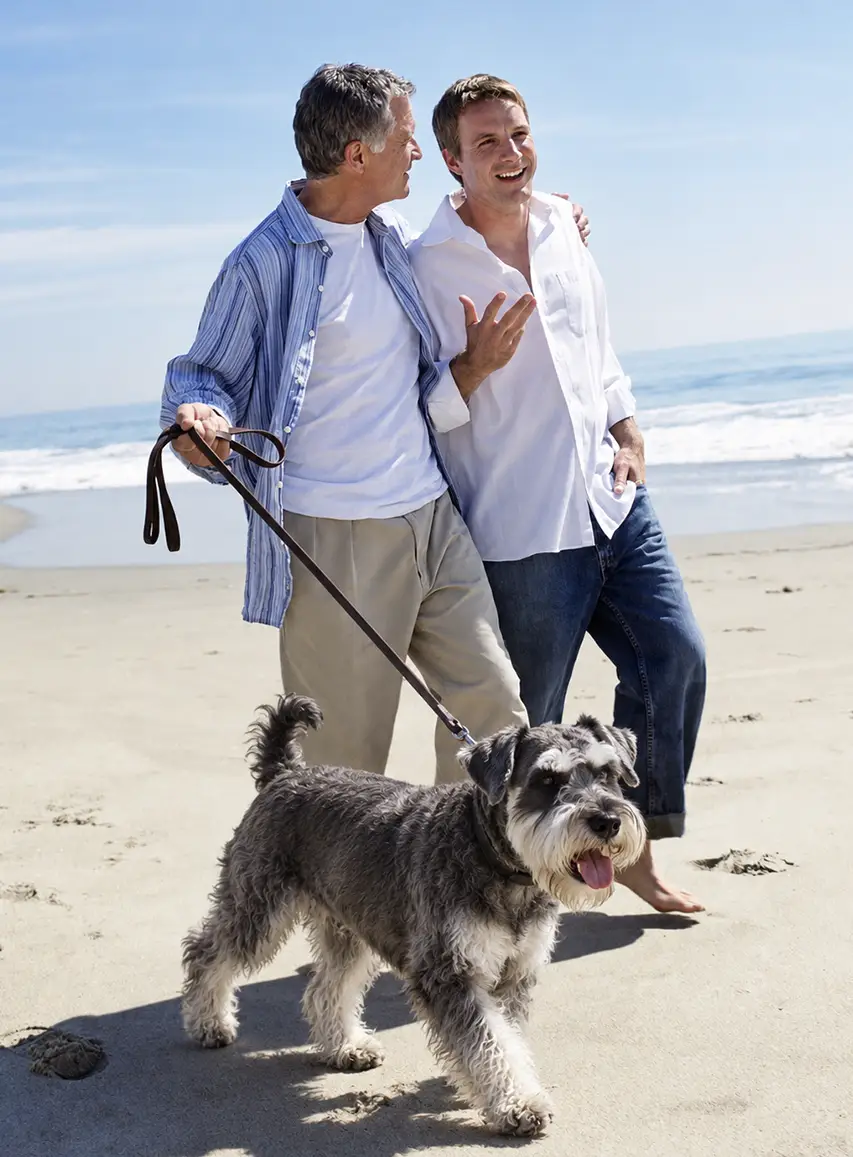 Two men enjoying a walk on the beach with their Schnauzer